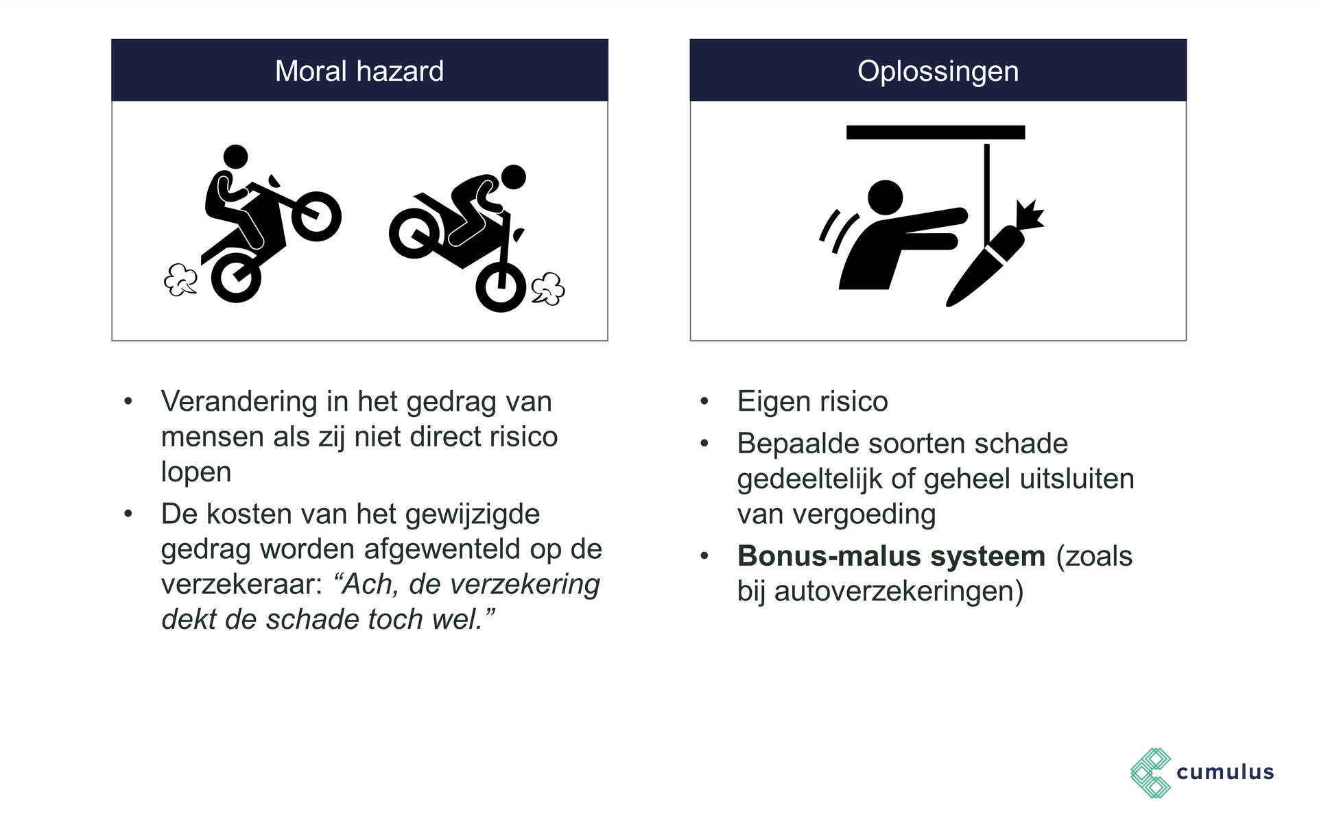 Cumulus Economie Moral hazard (moreel wangedrag)